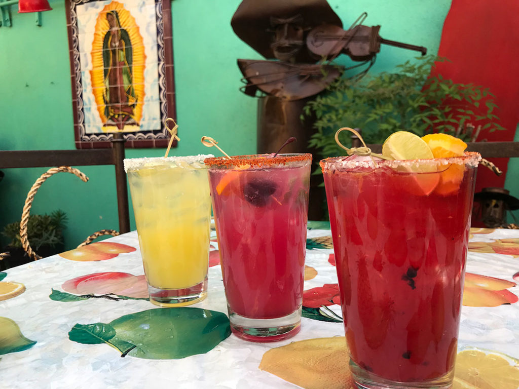 Happy Hour Daily at El Charro Café in Tucson, Arizona